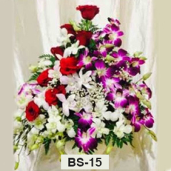 BS15