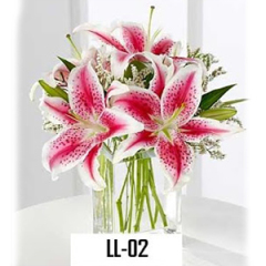 LL02