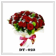DT23