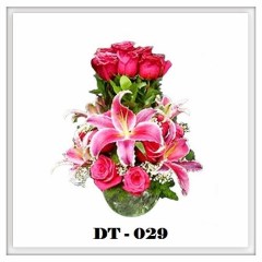 DT29