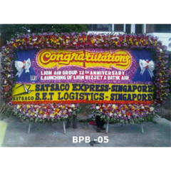 BPB05